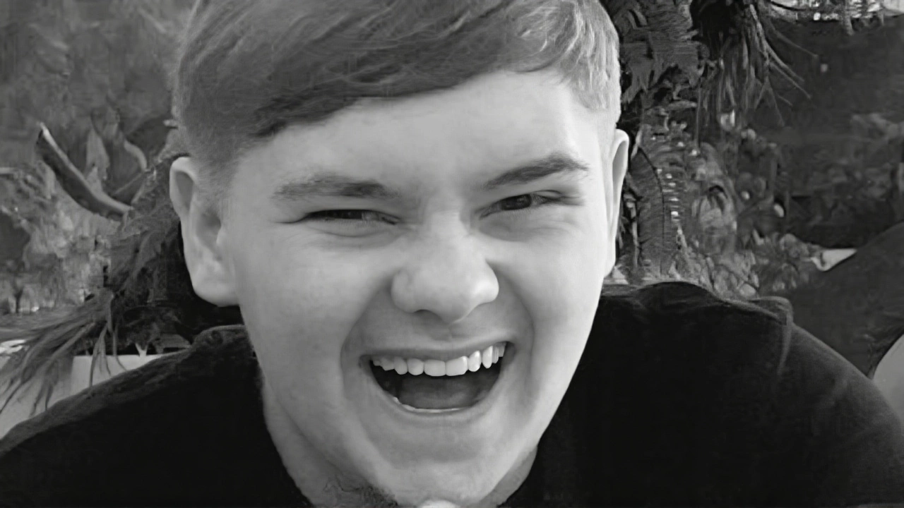 What the Sentence Means